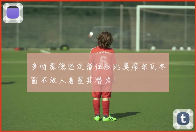 多特蒙德坚定留住法比奥席尔瓦冬窗不放人看重其潜力